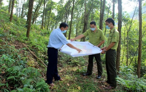 Quảng Ngãi ban hành Kế hoạch phòng cháy, chữa cháy rừng giai đoạn 2022 – 2030