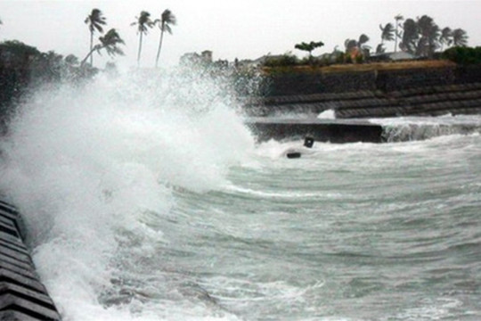 Quảng Nam chủ động ứng phó với thời tiết nguy hiểm trên biển