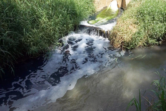 Đắk Nông: Một hộ dân bị phạt hơn 250 triệu đồng vì xả thải gây ô nhiễm môi trường