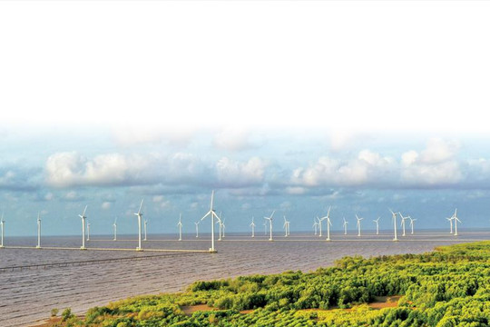 Bình Định: Phát huy tiềm năng vốn có trở thành trung tâm năng lượng tái tạo lớn của miền Trung