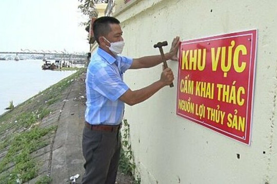 Đồng Tháp: Thành phố Hồng Ngự cấm khai thác thủy sản trên 3 km sông Tiền