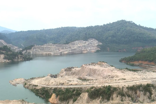 Kon Tum: Hơn 25ha rừng bị chết do thủy điện tích nước
