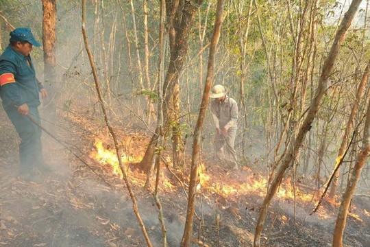Đà Nẵng: Tăng cường kiểm tra về phòng cháy, chữa cháy rừng trong mùa nắng nóng gay gắt