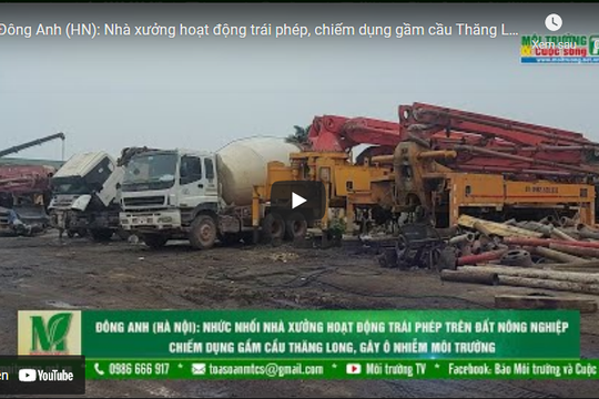 [VIDEO] Đông Anh (HN): Nhà xưởng hoạt động trái phép, chiếm dụng gầm cầu Thăng Long, gây ô nhiễm môi trường