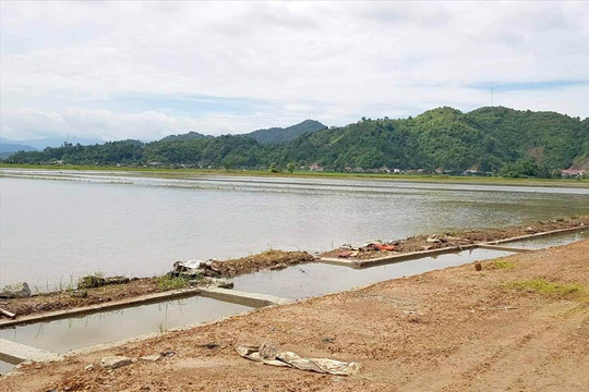 Đắk Lắk: Hơn 650 ha cây trồng bị ngập úng sau nhiều ngày mưa lớn