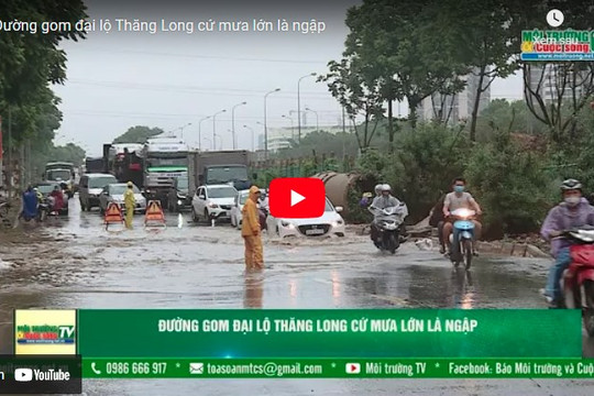 [VIDEO] Đường gom đại lộ Thăng Long cứ mưa lớn là ngập