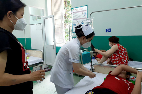TP.HCM: Phát sinh 79 ổ dịch sốt xuất huyết mới