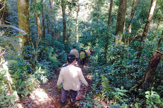 Lâm Đồng: Huyện Lạc Dương tăng cường công tác truyền thông bảo vệ rừng