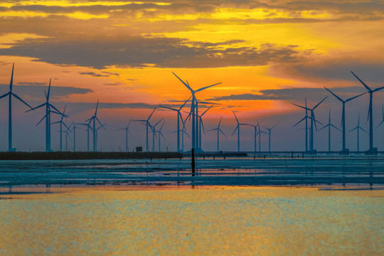 Việt Nam có cơ hội lớn để trở thành trung tâm điện gió của thế giới