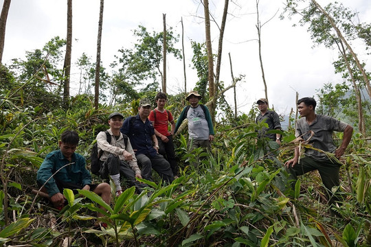 Quảng Nam tổ chức hàng trăm đợt tuần tra rừng trong Khu bảo tồn loài và sinh cảnh voi