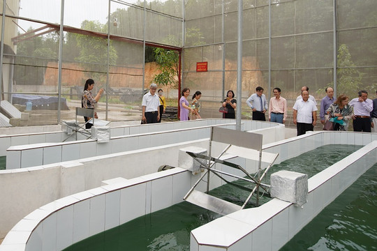 Đoàn công tác của Hội NS&MT Việt Nam tham quan mô hình sản xuất tảo xoắn