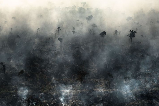 Brazil: Số vụ cháy ở rừng nhiệt đới Amazon lập kỷ lục