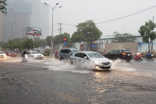 TP. Hồ Chí Minh: Đẩy nhanh tiến độ thực hiện nhiều dự án ứng phó với biến đổi khí hậu