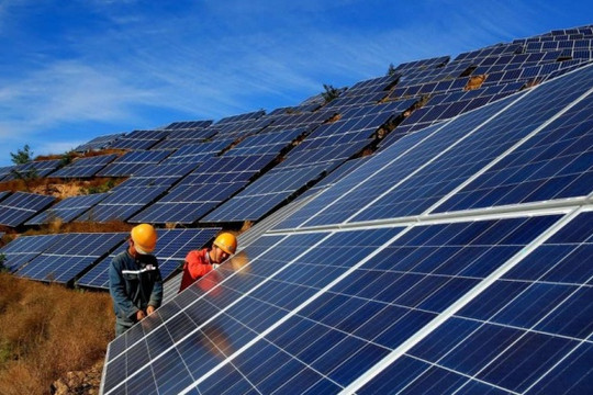 Tạp chí The Economist: Việt Nam dẫn đầu Đông Nam Á về chuyển đổi sang năng lượng sạch