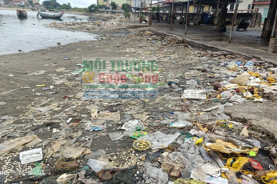 Ô nhiễm môi trường nghiêm trọng ở Cảng cá Lạch Bạng – Thanh Hóa: Bài 1: Vấn nạn dai dẳng