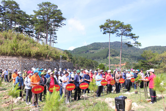Lâm Đồng: Khối các cơ quan Đảng phát động hưởng ứng Chương trình trồng 1 tỷ cây xanh