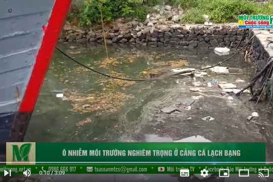 [VIDEO] Thanh Hóa: Ô nhiễm môi trường nghiêm trọng ở Cảng cá Lạch Bạng