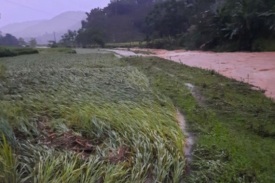 Lào Cai: Mưa lớn gây ngập úng và sạt lở tại nhiều địa phương