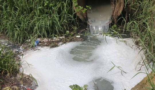 Bắc Ninh: Bắt quả tang cơ sở tái chế giấy xả nước thải trái phép ra môi trường