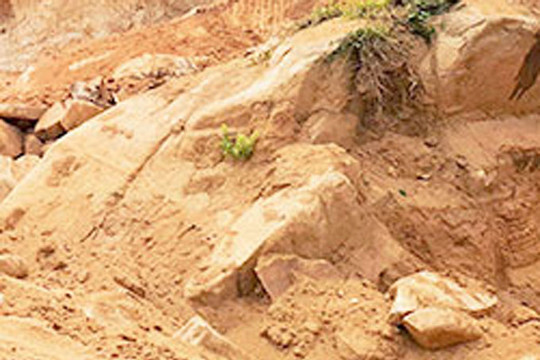 Khánh Hòa: Xử lý nghiêm việc khai thác đất trái phép ở Ninh Đa