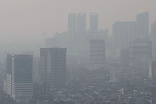 [Infographic] Ô nhiễm không khí dạng hạt làm giảm tuổi thọ trên toàn cầu
