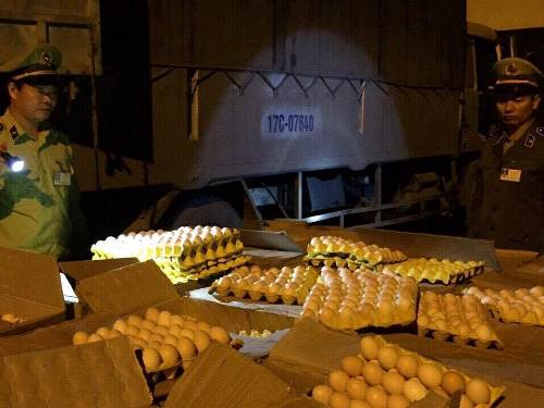 Quảng Ninh thu giữ 25.000 quả trứng gà nhập lậu