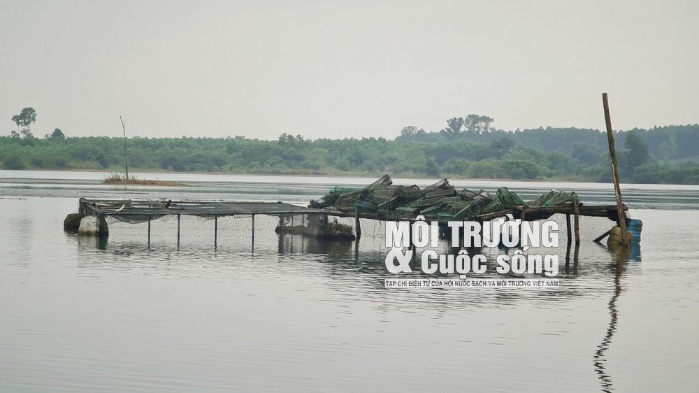 W_quang-tri-1.jpg