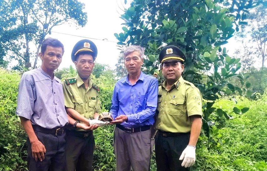 Thừa Thiên - Huế: Người dân tự nguyện giao nộp động vật rừng