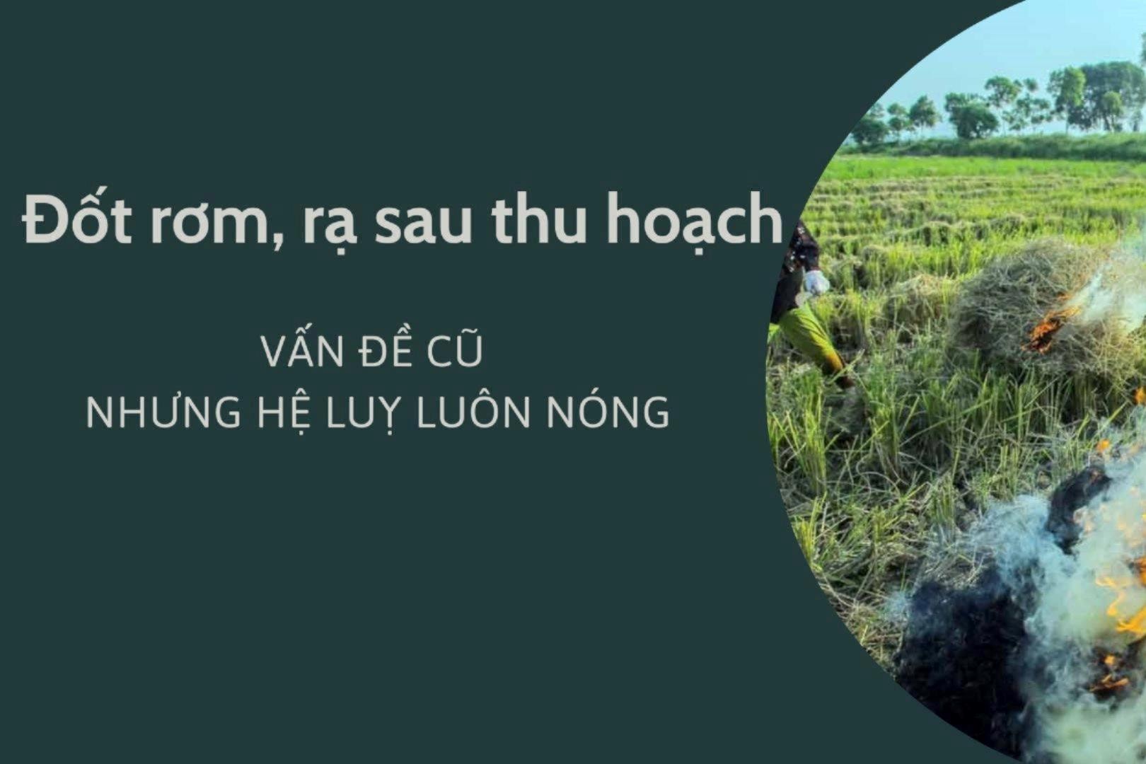 Đốt rơm, rạ sau thu hoạch - Vấn đề cũ nhưng hệ lụy luôn nóng 
