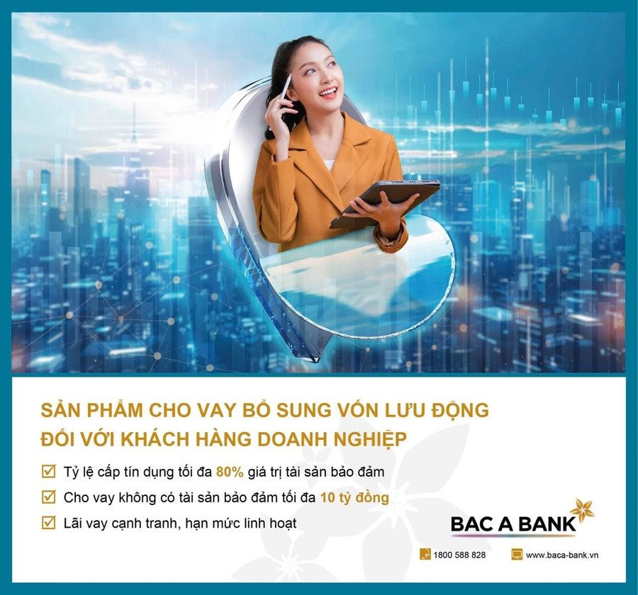 bac-a-bank-2.jpg