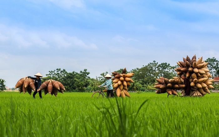 lang-nghe-1(2).jpg