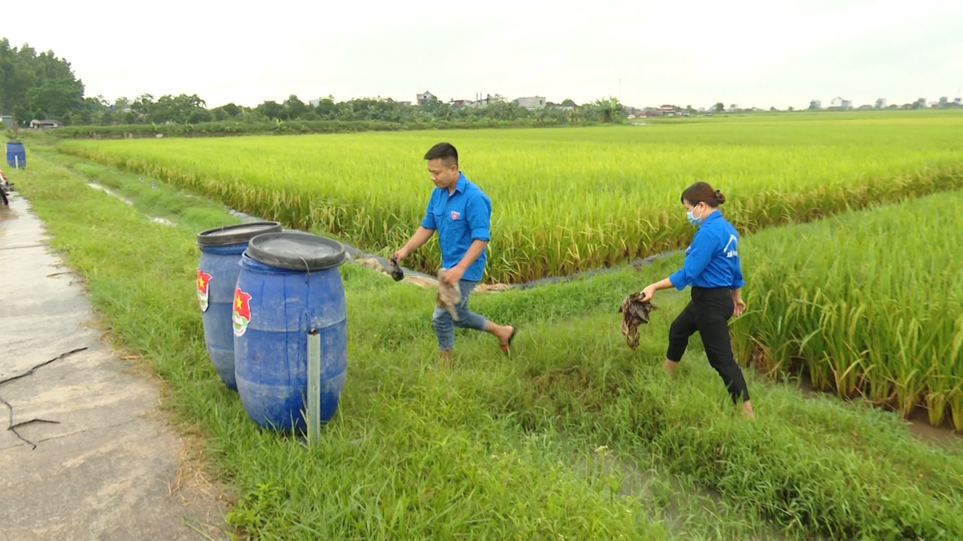 phan-loai-rac-tai-thai-binh.jpg