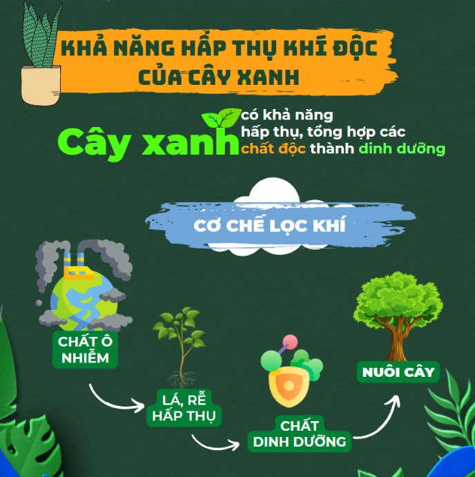 do-hoa-tac-dung-cua-cay-xanh.png