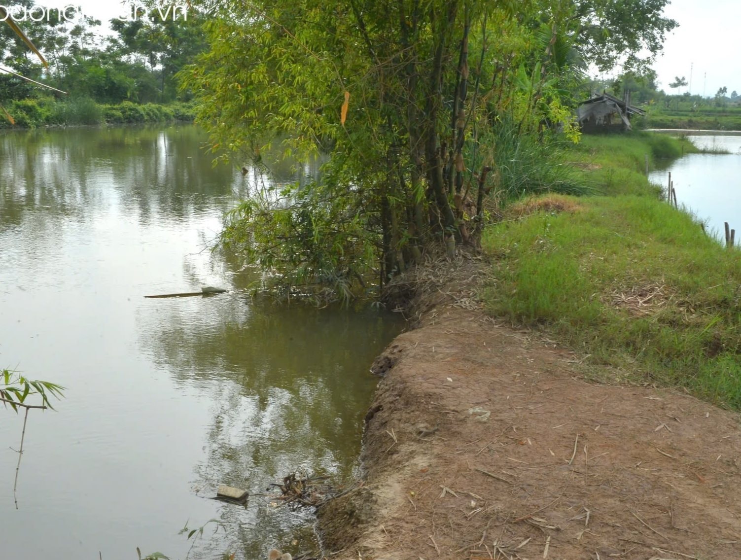 mot-doan-de-song-thai-anh-inh-hoa-(4).jpg