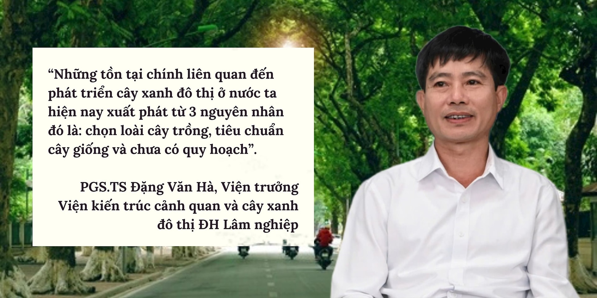 gs-dang-van-ha.jpg