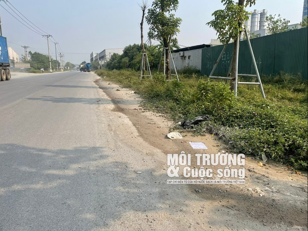 W_be-tong-viet-duc-4.png