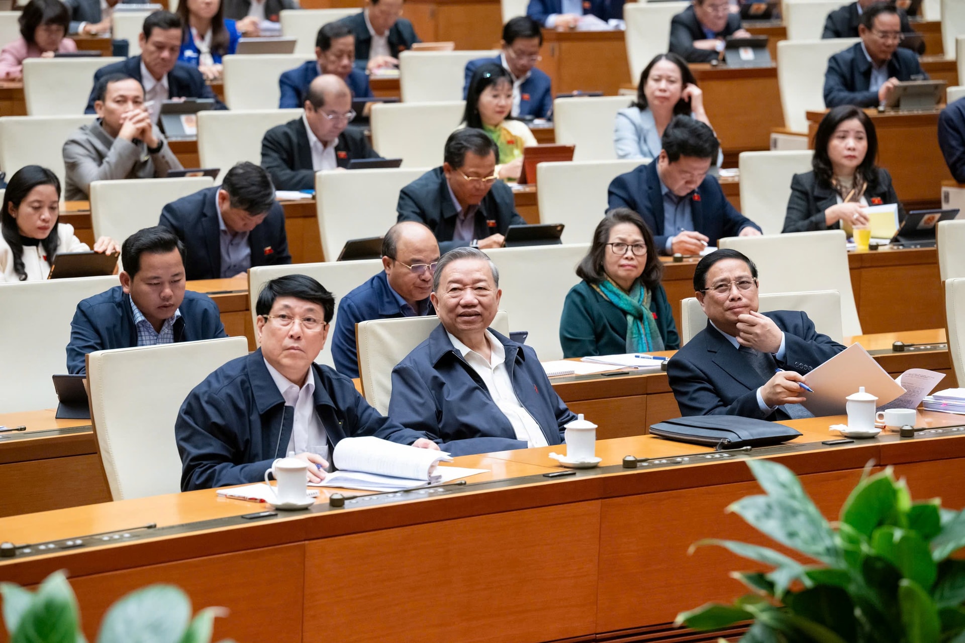 17-qh2.jpg