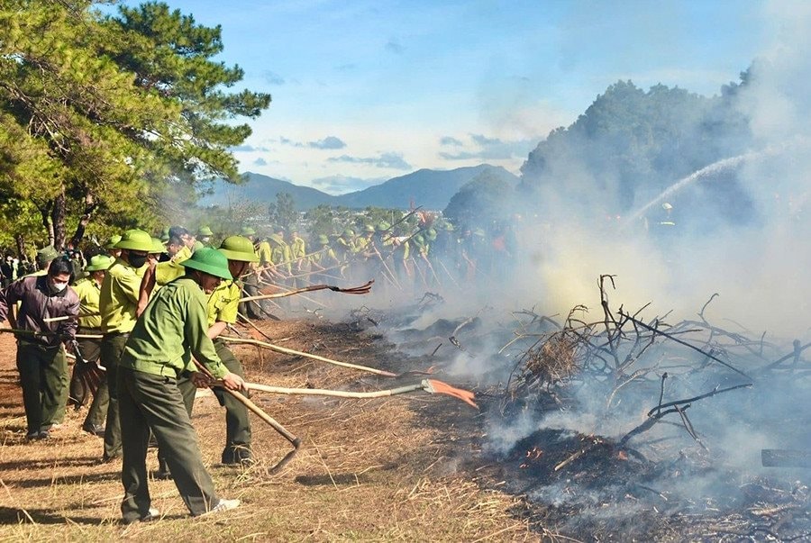 uy-ban-nhan-dan-cac-xa-thi-tran-phan-cong-luc-luong-to-chuc-tuan-tra-canh-gac-lua-rung-nham-phat-hien-som-nhat-khi-xay-ra-chay-rung.jpg