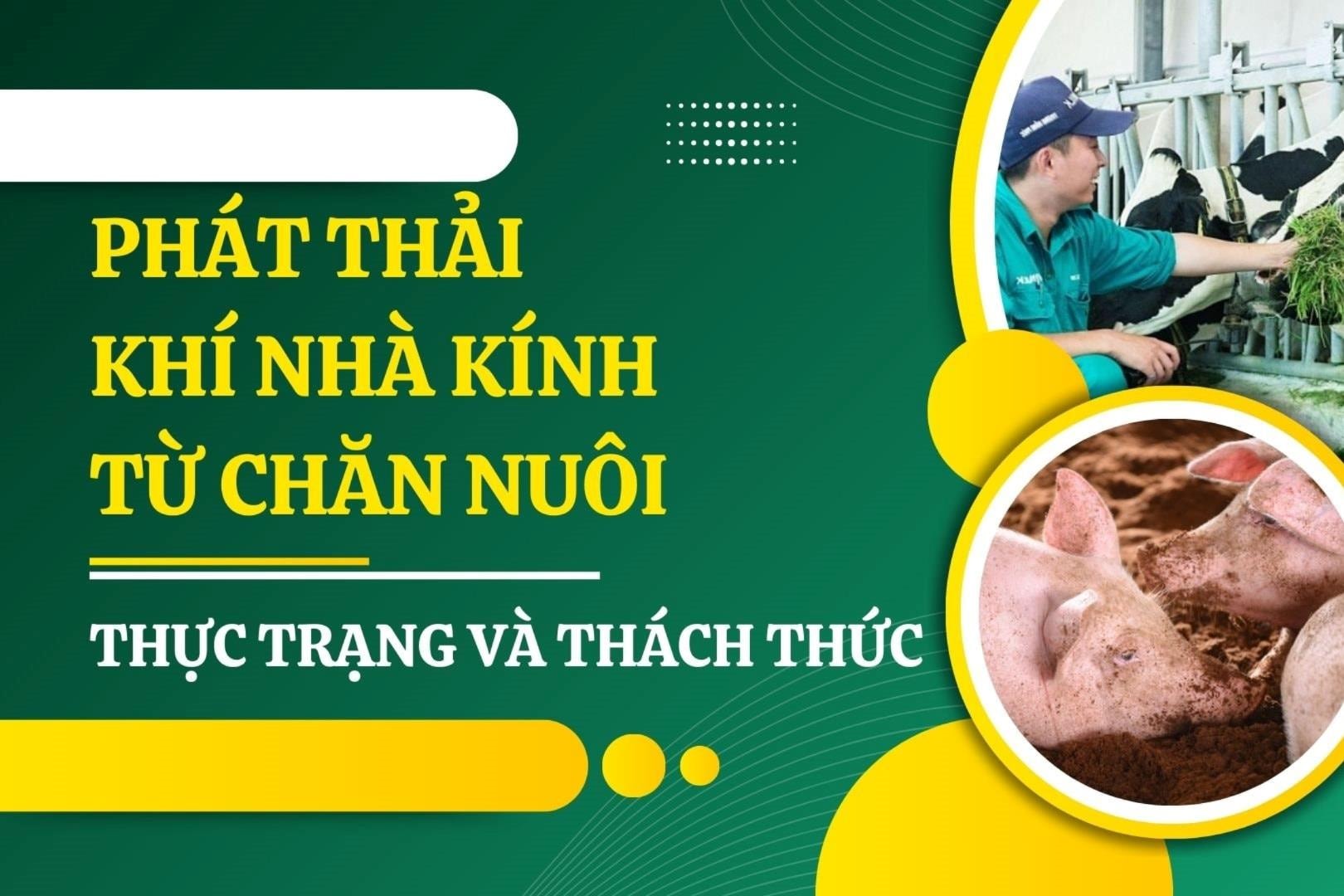 Ứng dụng kinh tế tuần hoàn trong chăn nuôi nhằm giảm phát thải khí nhà kính 