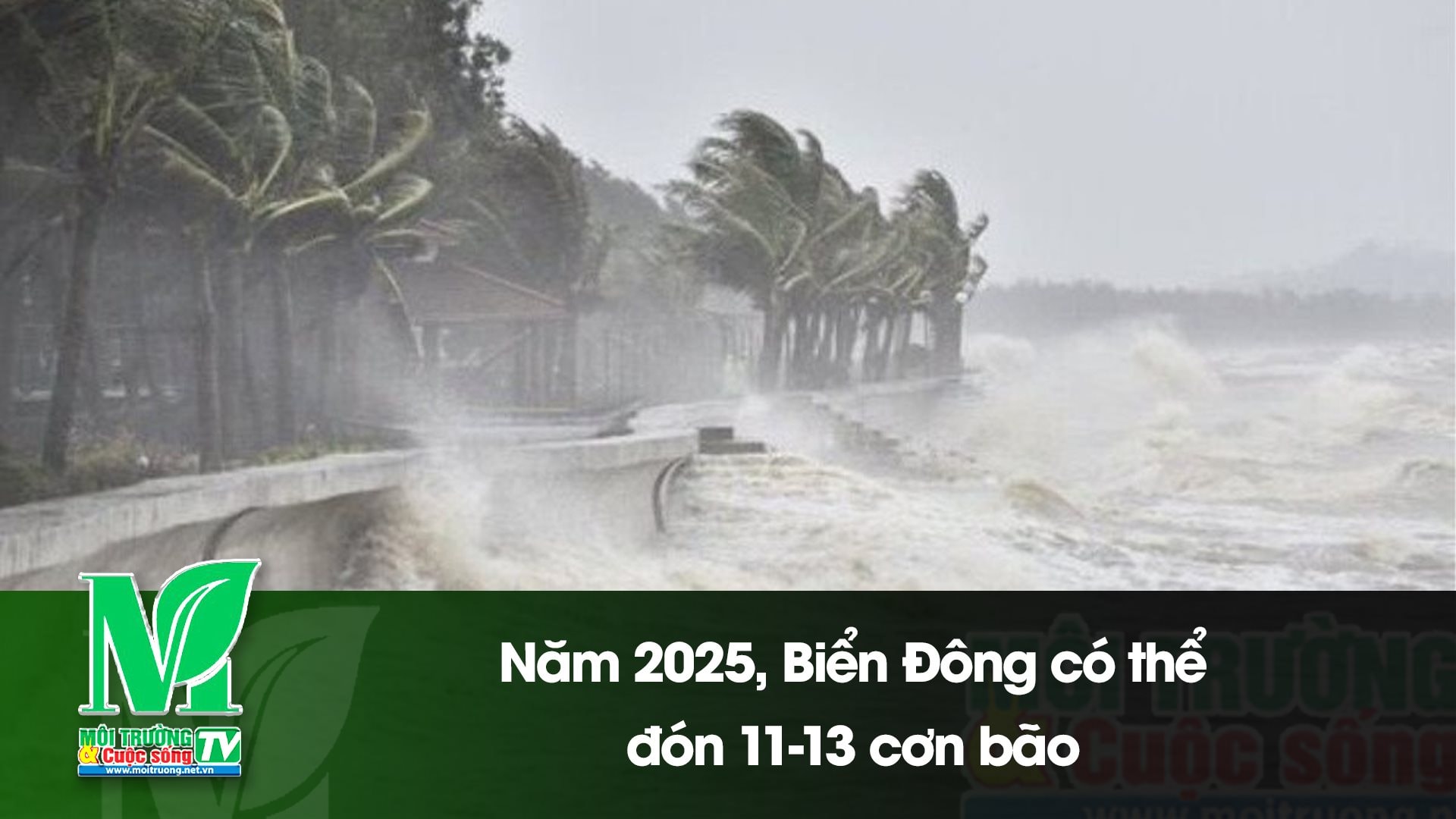 [VIDEO] Năm 2025, Biển Đông có thể đón 11-13 cơn bão 