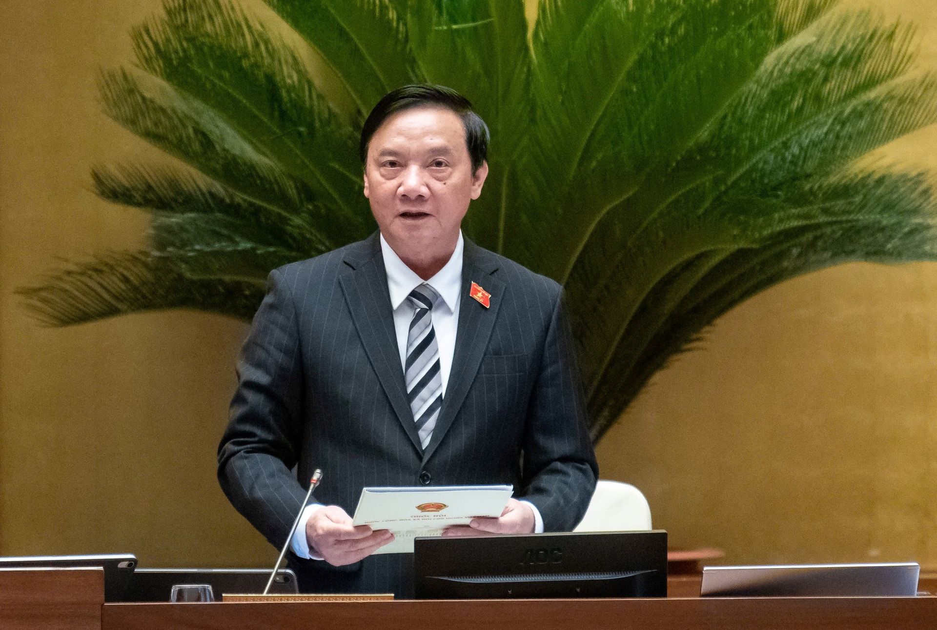 8-dinh.jpg