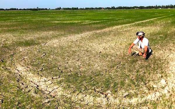 ĐBSCL: Độ mặn lên tới 9,5‰, cảnh báo xâm nhập mặn vẫn còn kéo dài 