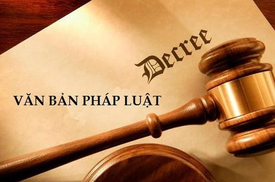 Vận hành thử nghiệm hệ thống tiếp nhận phản ánh về văn bản quy phạm pháp luật 