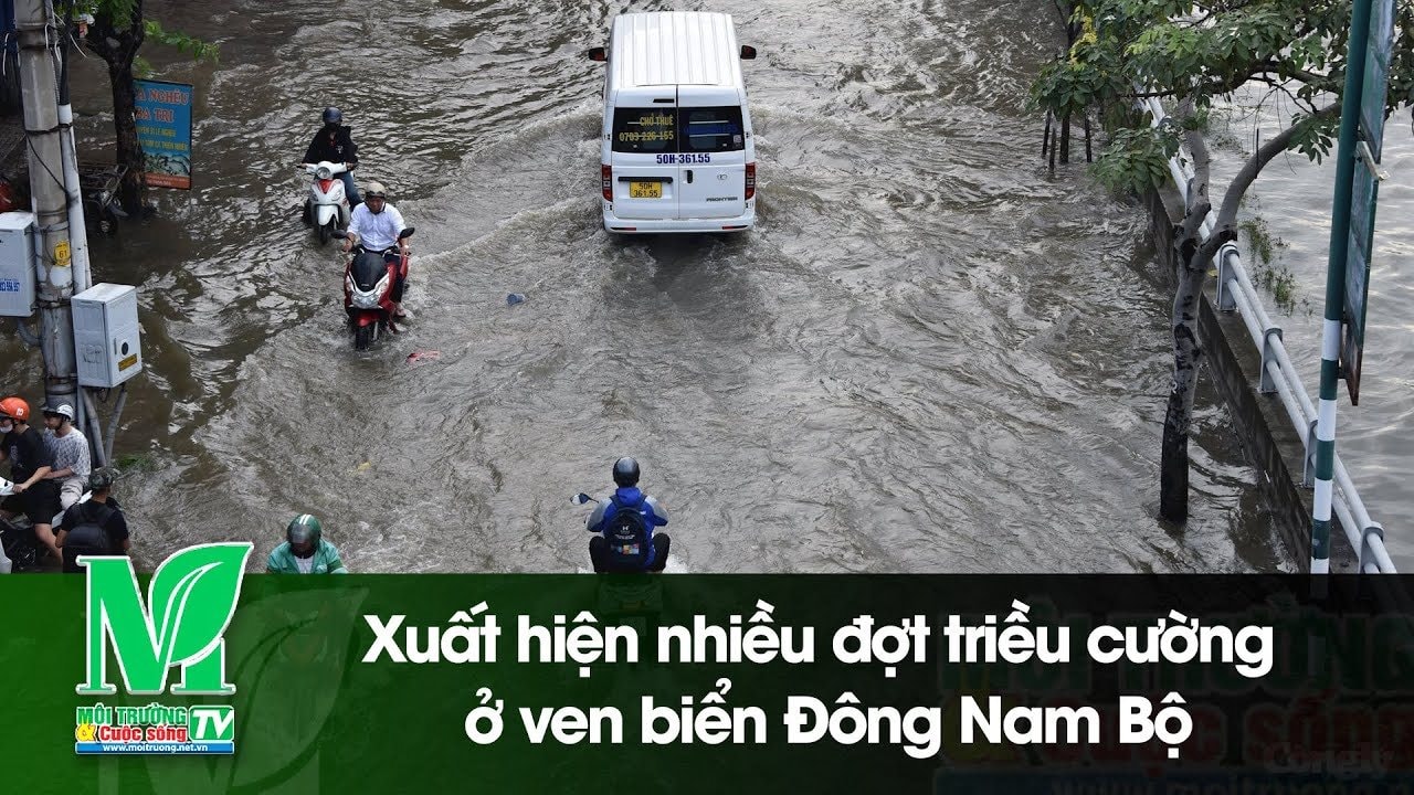 [VIDEO] Xuất hiện nhiều đợt triều cường ở ven biển Đông Nam Bộ 