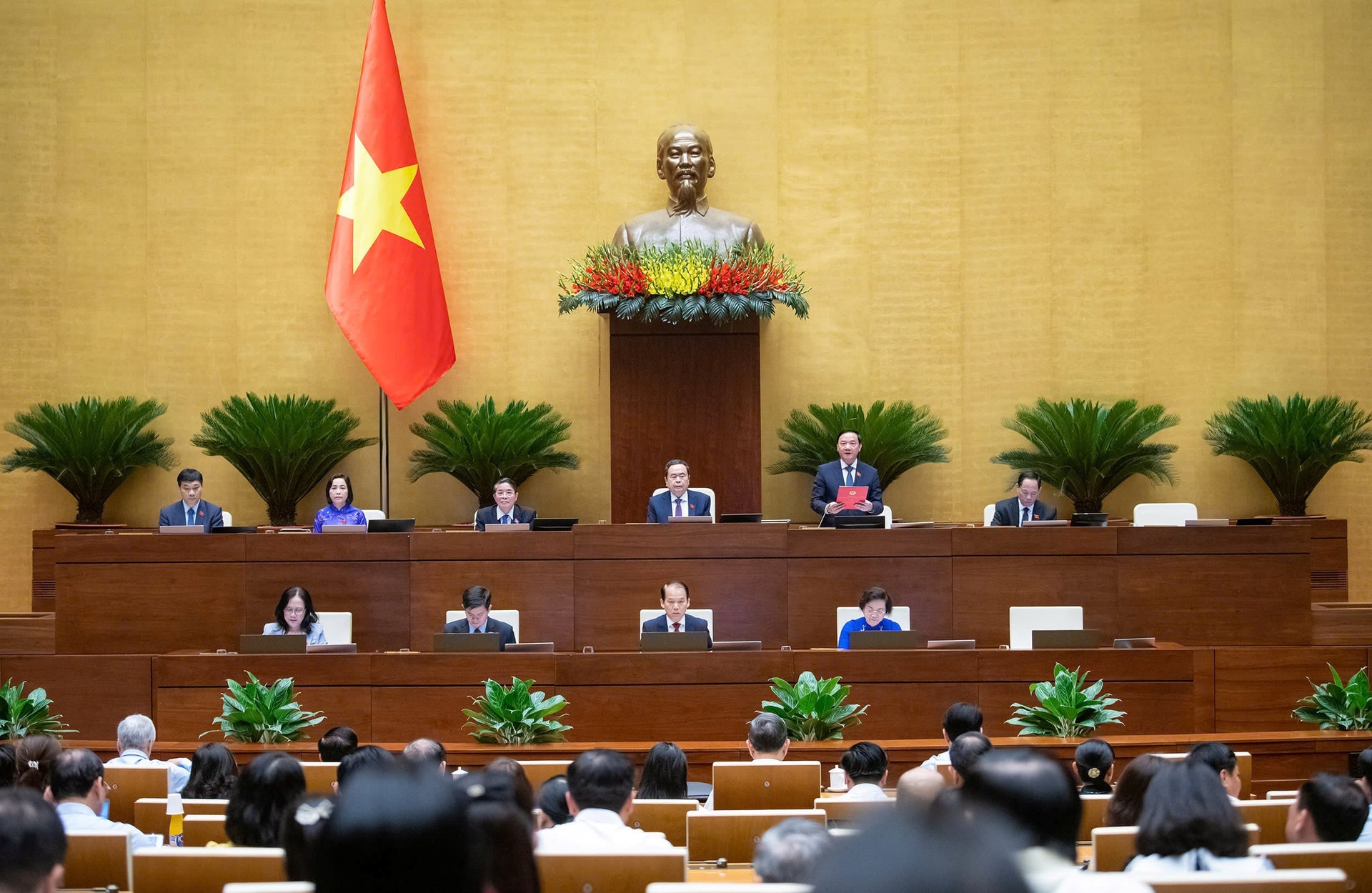 15-qh.jpg