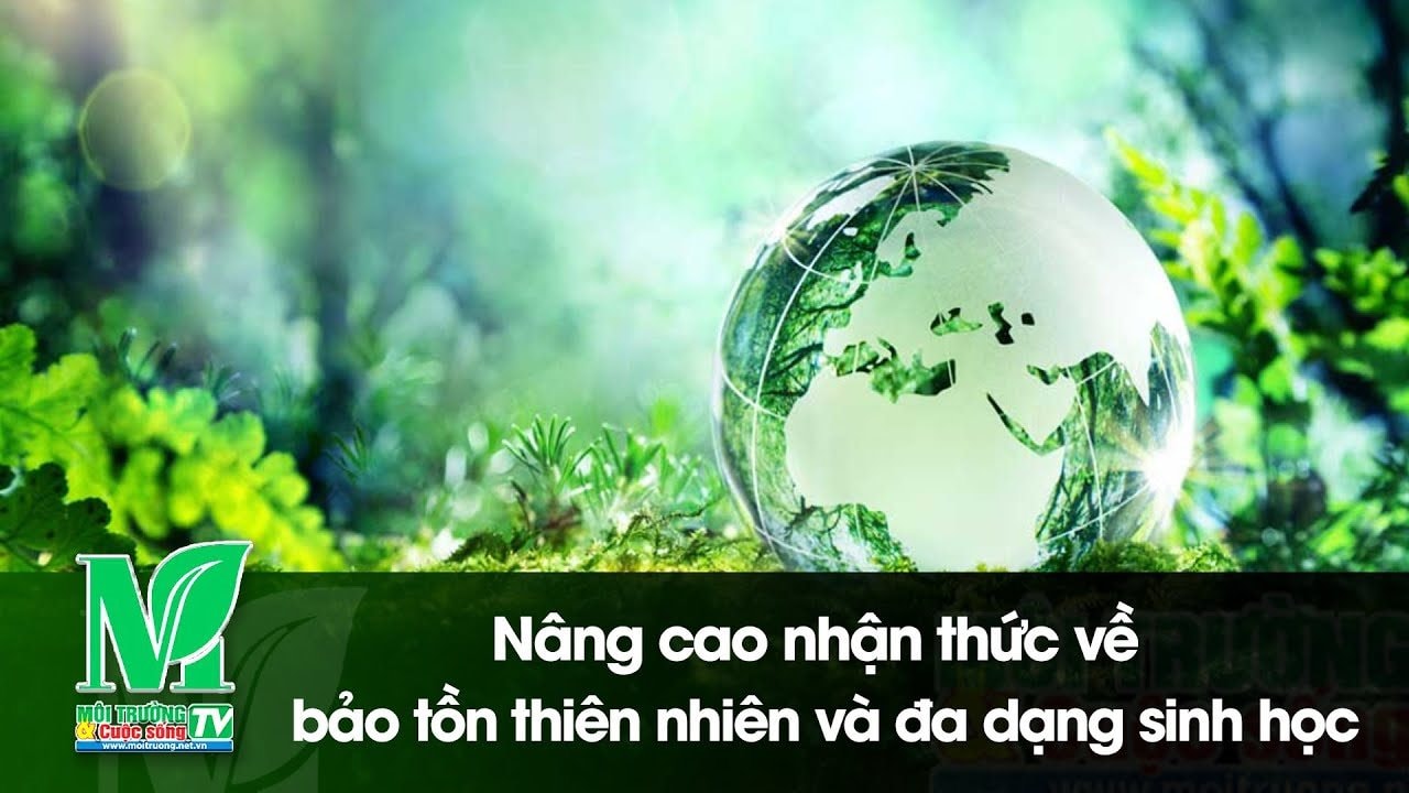 [VIDEO] Nâng cao nhận thức về bảo tồn thiên nhiên và đa dạng sinh học 