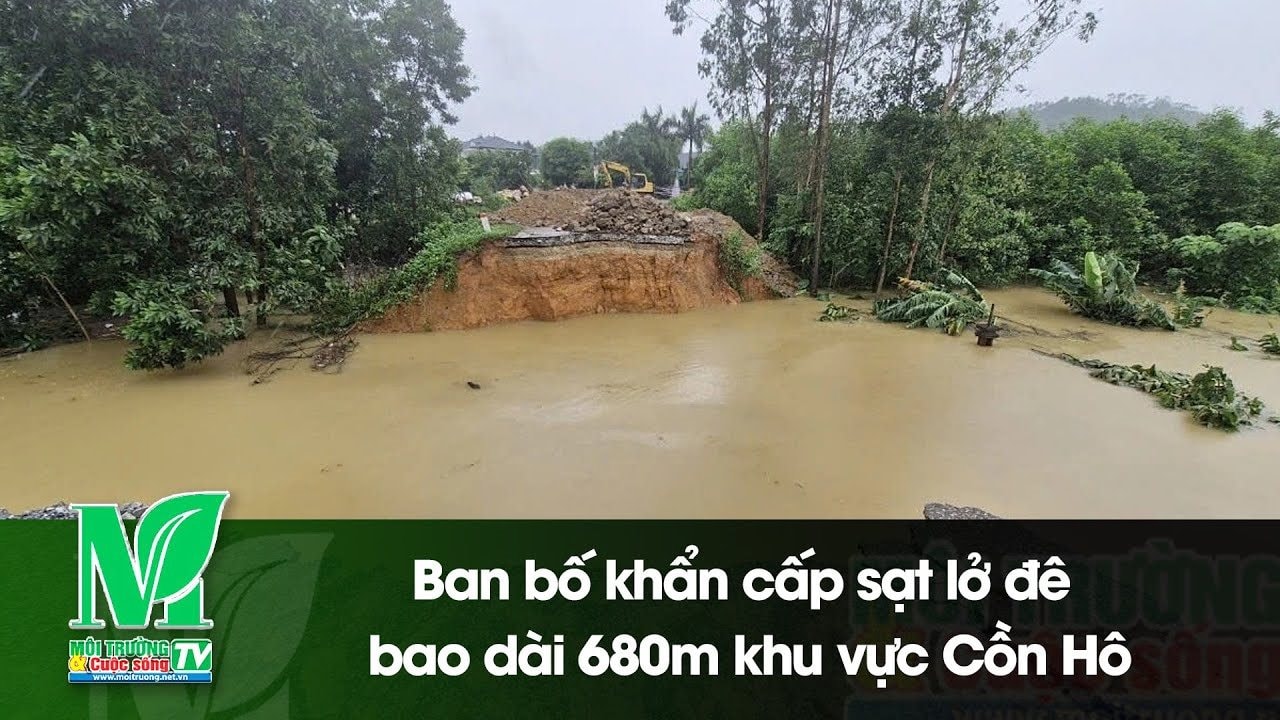 [VIDEO] Ban bố khẩn cấp sạt lở đê bao dài 680m khu vực Cồn Hô 