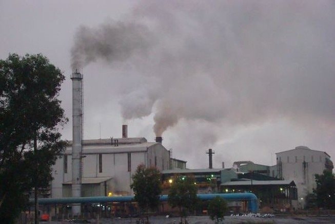 TP.HCM đặt mục tiêu hoàn thành loạt chỉ tiêu giảm ô nhiễm môi trường trong năm 2025 