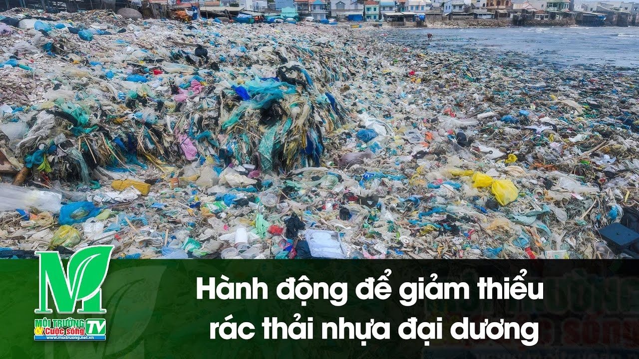 [VIDEO] Hành động để giảm thiểu rác thải nhựa đại dương 