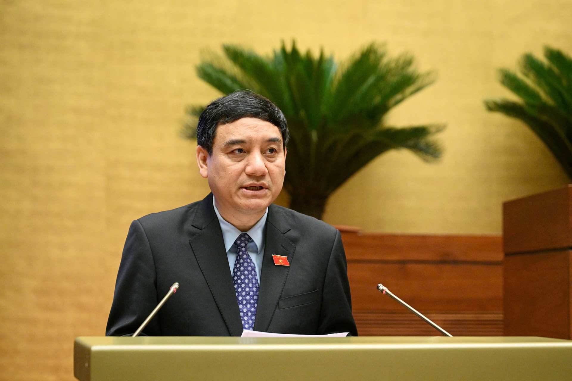 21-vinh.jpg